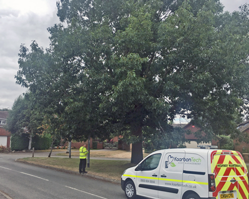 tree surveying and kaarbontech van